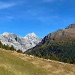 Gran Zebru - High Mountain 3* Valfurva